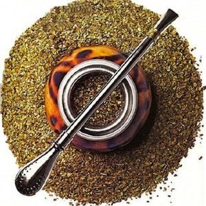 yerba mate