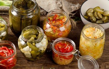 Fermented Foods