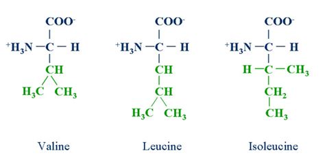 BCAA