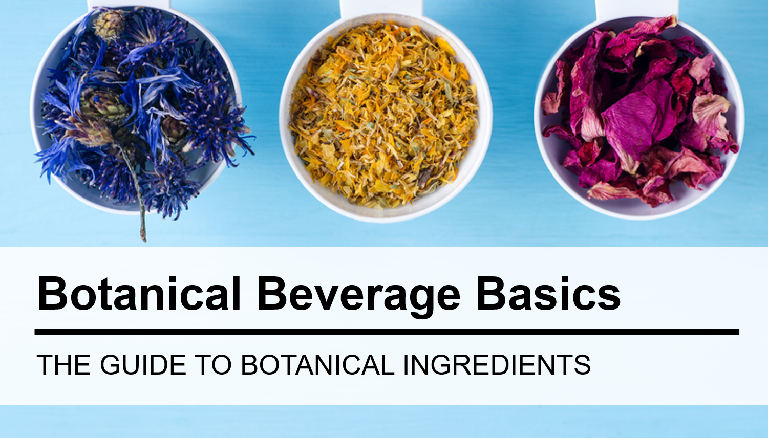 Botanical Beverage Ingredients