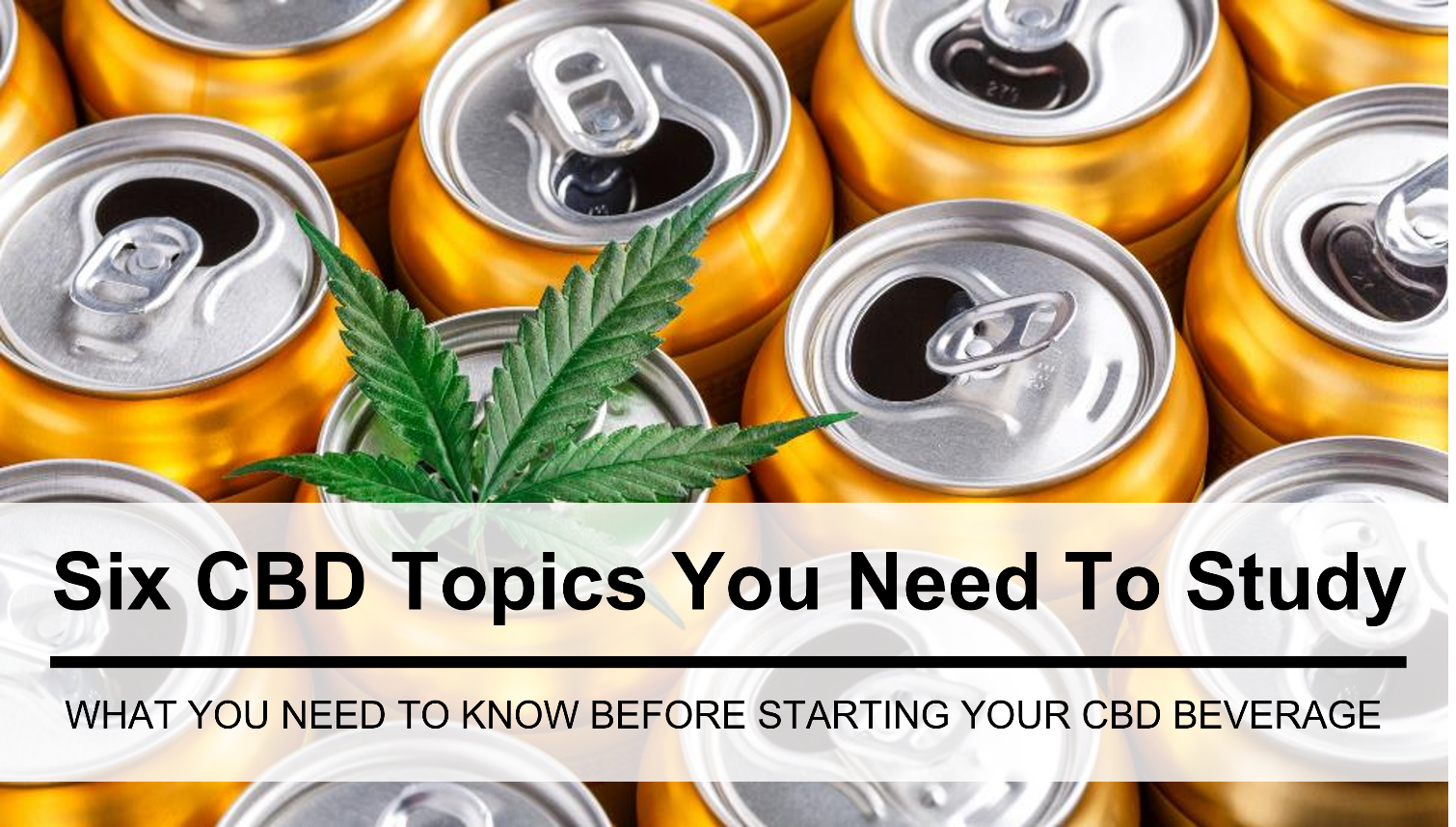 Starting a CBD Beverage Business in the US